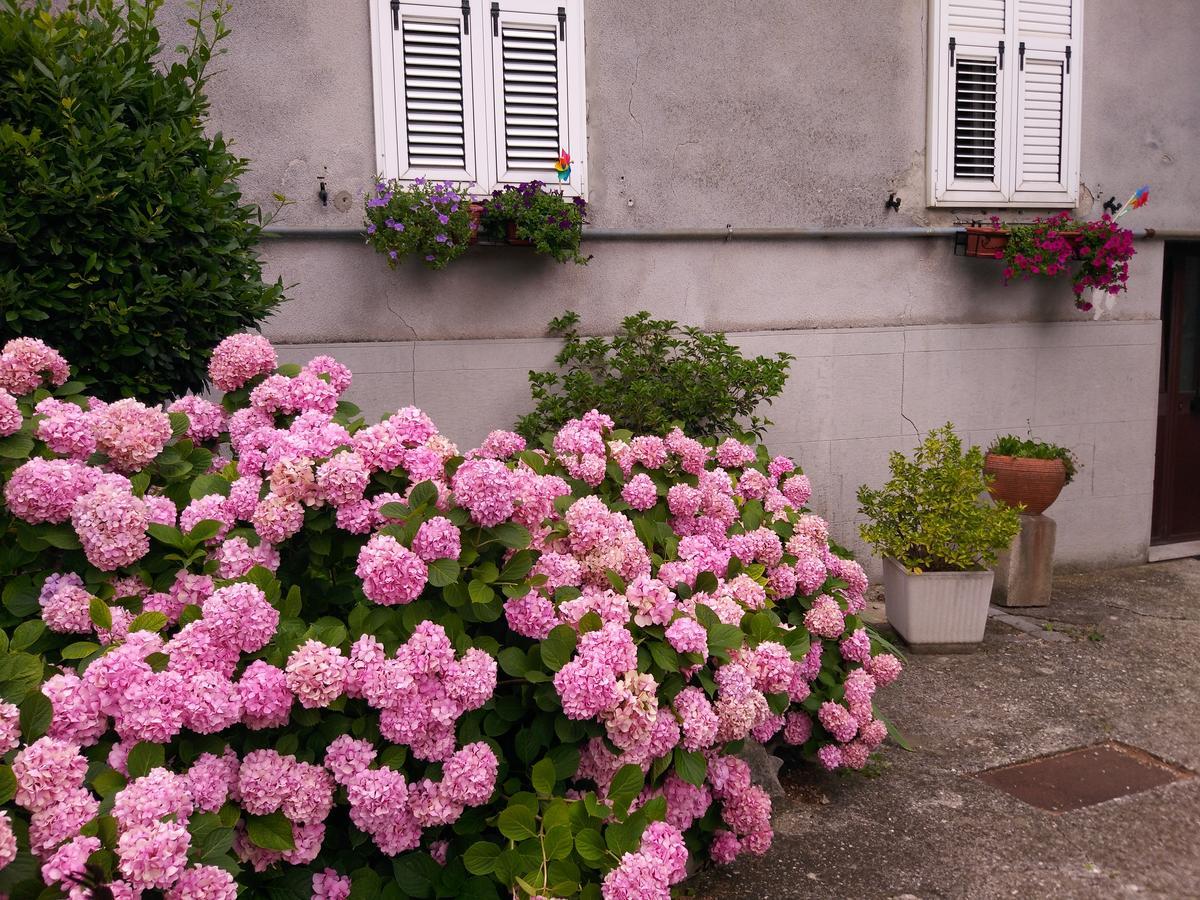 A Casa Di Silvy Villa Trieste Exterior photo